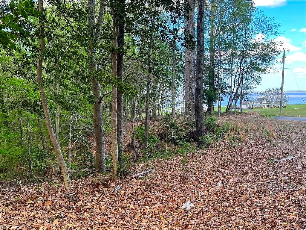 Lot 1 Cobham Wharf RD, SURRY VA 23883 - Photo 4