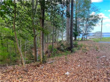 Lot 1 Cobham Wharf RD, SURRY VA 23883 thumb 4
