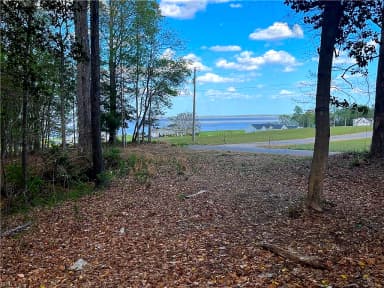 Lot 1 Cobham Wharf RD, SURRY VA 23883 thumb 5