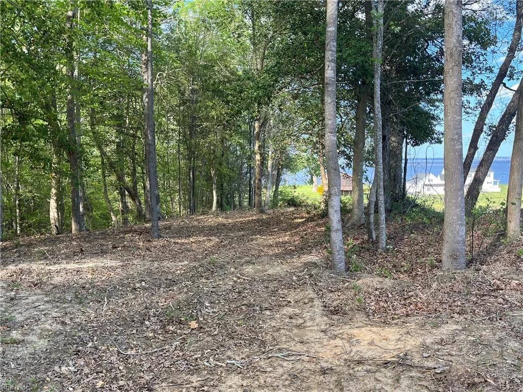 Lot 1 Cobham Wharf RD, SURRY VA 23883 thumb 6