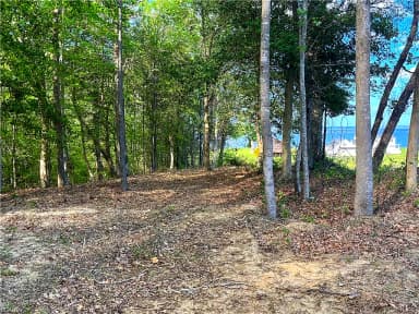Lot 1 Cobham Wharf RD, SURRY VA 23883 thumb 6