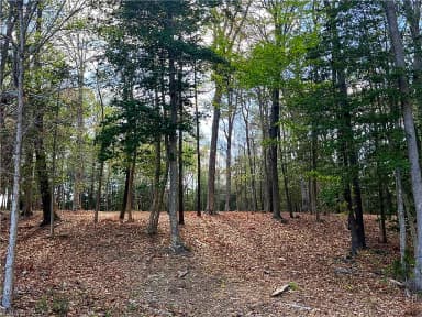 Lot 1 Cobham Wharf RD, SURRY VA 23883 thumb 7