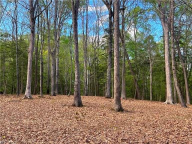 Lot 1 Cobham Wharf RD, SURRY VA 23883 thumb 10