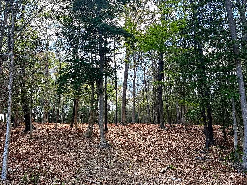 Lot 2 Eagle Lane NONE, SURRY VA 23883 - Photo 3
