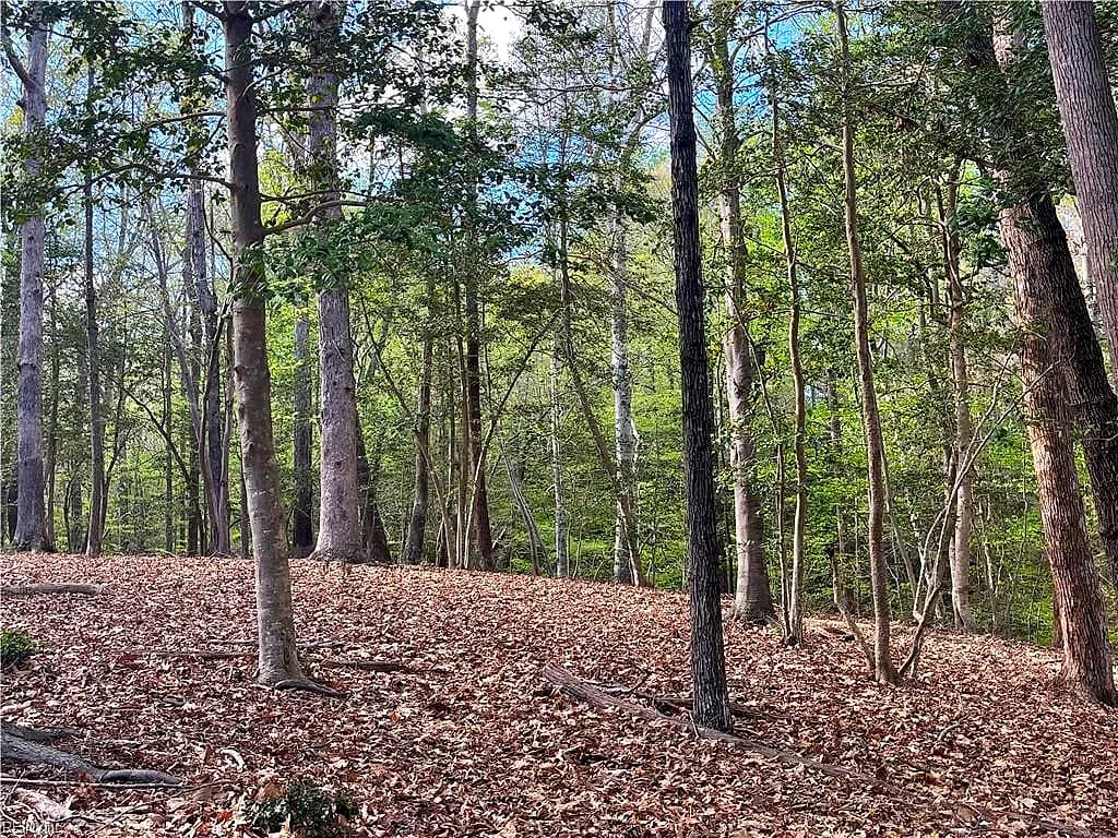 Lot 2 Eagle Lane NONE, SURRY VA 23883 - Photo 4