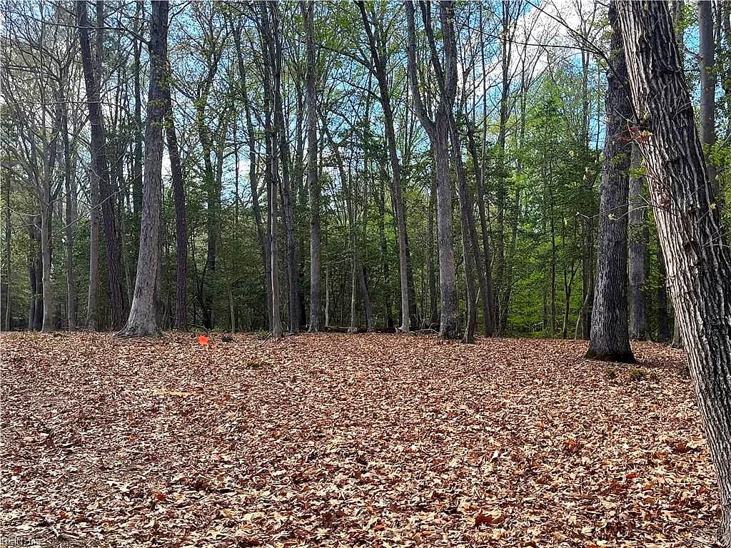 Lot 2 Eagle Lane NONE, SURRY VA 23883 - Photo 5