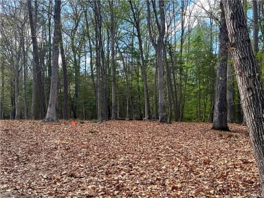 Lot 2 Eagle Lane NONE, SURRY VA 23883 thumb 5