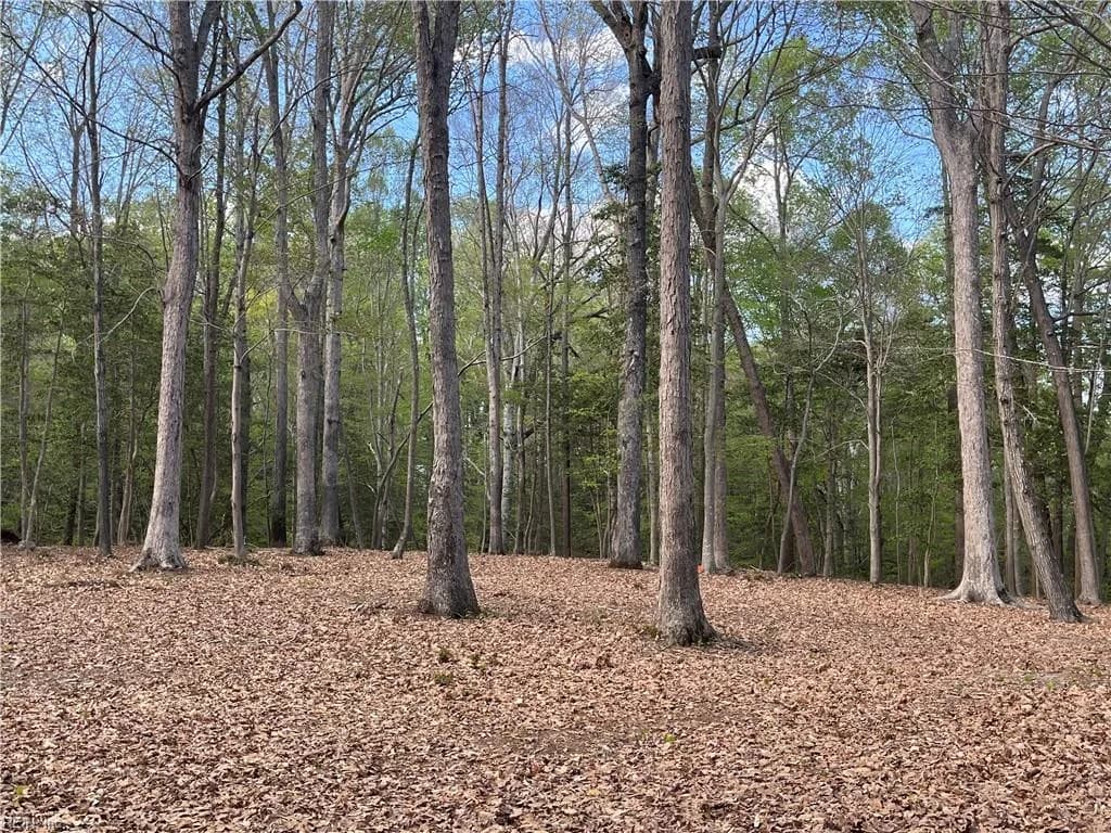 Lot 2 Eagle Lane NONE, SURRY VA 23883 thumb 6