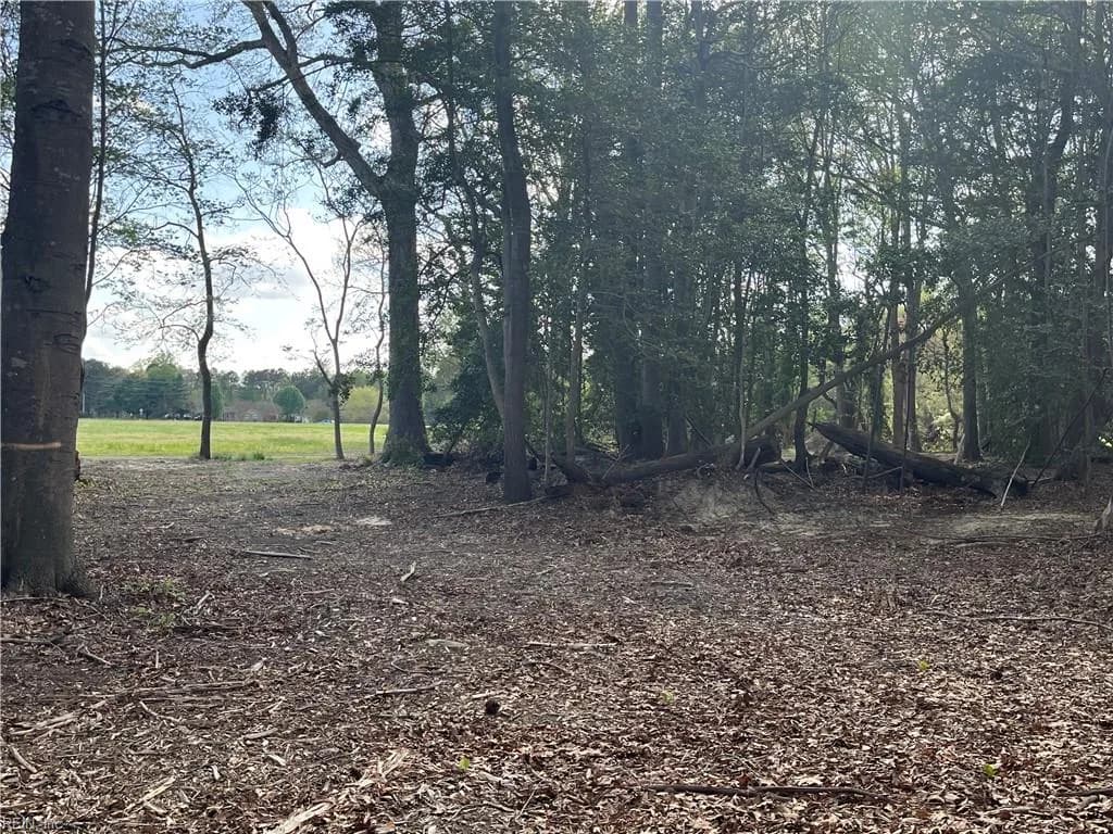 Lot 2 Eagle Lane NONE, SURRY VA 23883 thumb 7