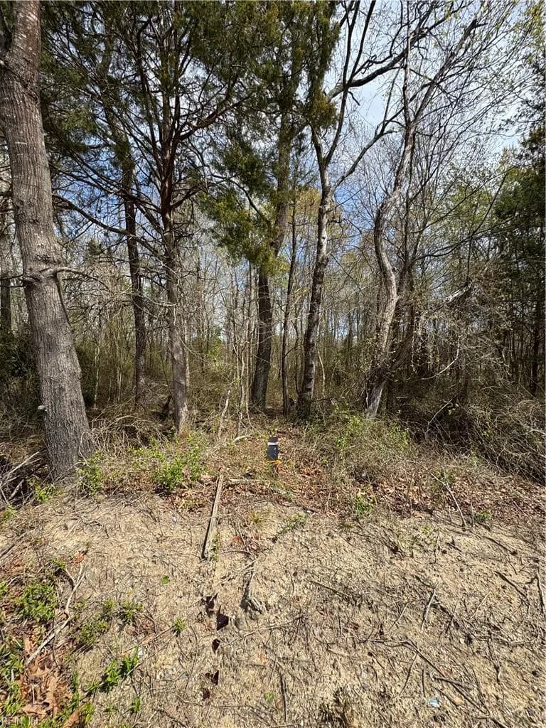 4.51AC Hog Island RD, SURRY VA 23883 thumb 11