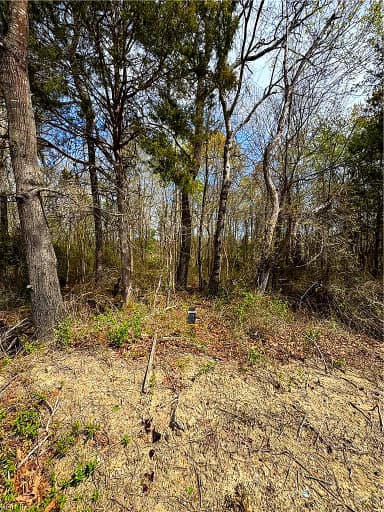 4.51AC Hog Island RD, SURRY VA 23883 thumb 11