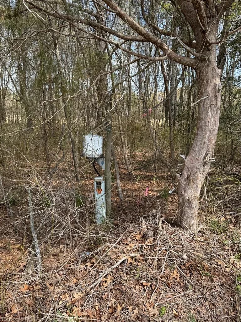 4.51AC Hog Island RD, SURRY VA 23883 thumb 6