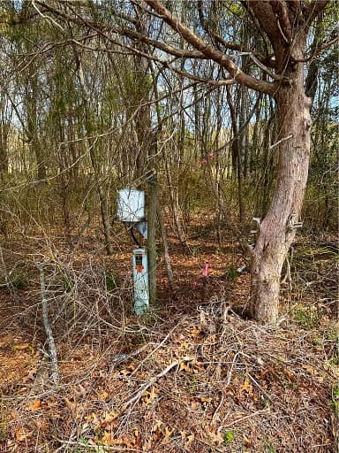 4.51AC Hog Island RD, SURRY VA 23883 thumb 6