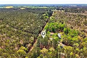 319 Dutch RD, SUFFOLK VA 23437 thumb 8