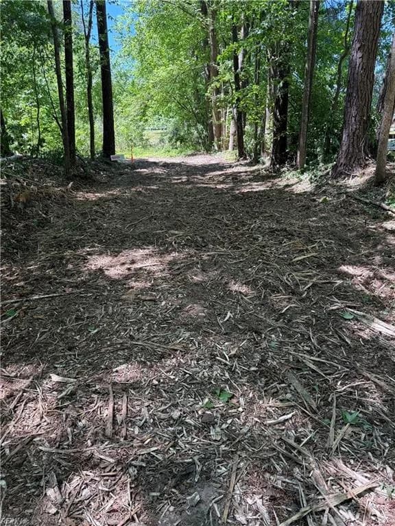 6.57AC Lees Landing LN, SALUDA VA 23149 thumb 12