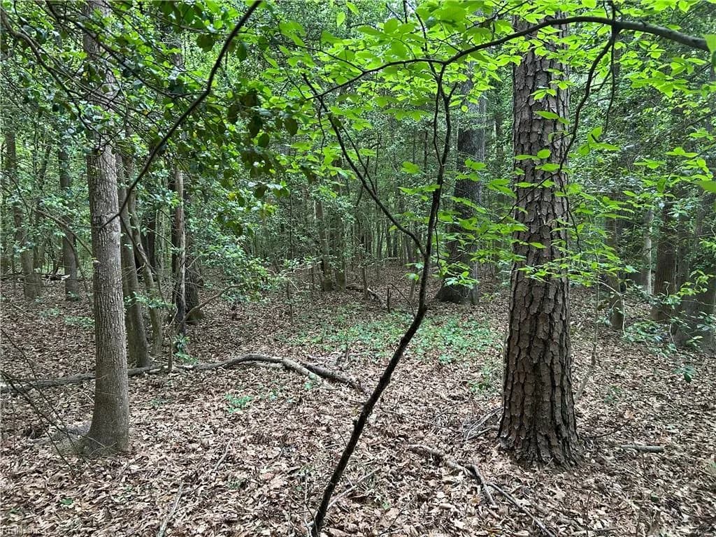 6.57AC Lees Landing LN, SALUDA VA 23149 thumb 6