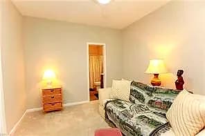 102 Kathy Ann WAY W, CARROLLTON VA 23314 thumb 12