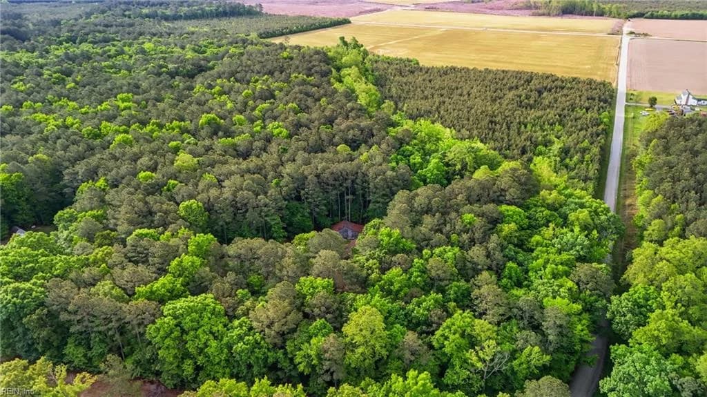 15535 Strawberry Plains RD, IVOR VA 23866 thumb 6