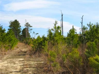 4161 Caratoke HWY, BARCO NC 27917 thumb 2