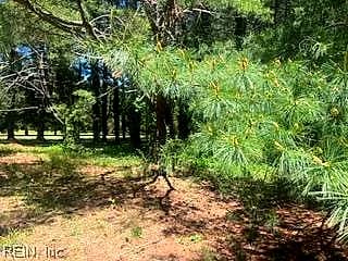 1.1+AC Laurel Haven DR, WICOMICO VA 23184 - Main photo