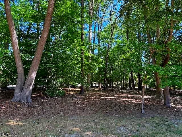 220 Ashford MNR, WILLIAMSBURG VA 23188 - Photo 3