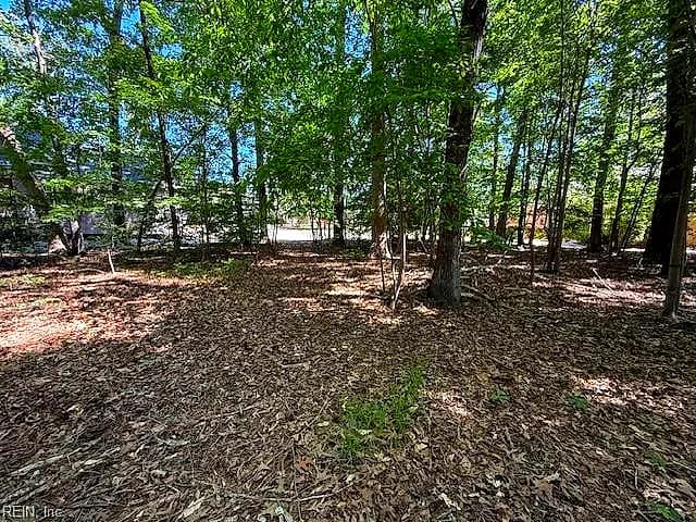 220 Ashford MNR, WILLIAMSBURG VA 23188 - Photo 5