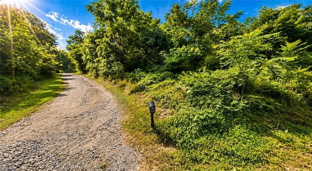 Lot 2 Corner of Pettit Rd &amp; Metompkin Rd DR, HALLWOOD VA 23359 thumb 11