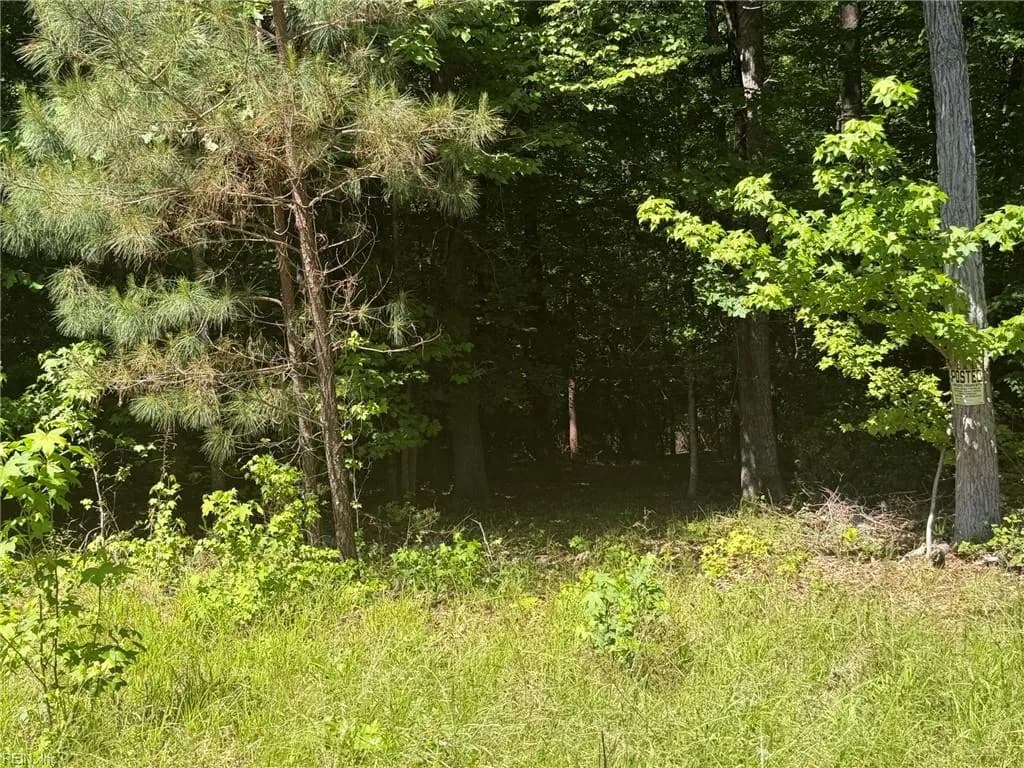 3.1+AC Near Cooks Mill RD, LANEXA VA 23089 thumb 6