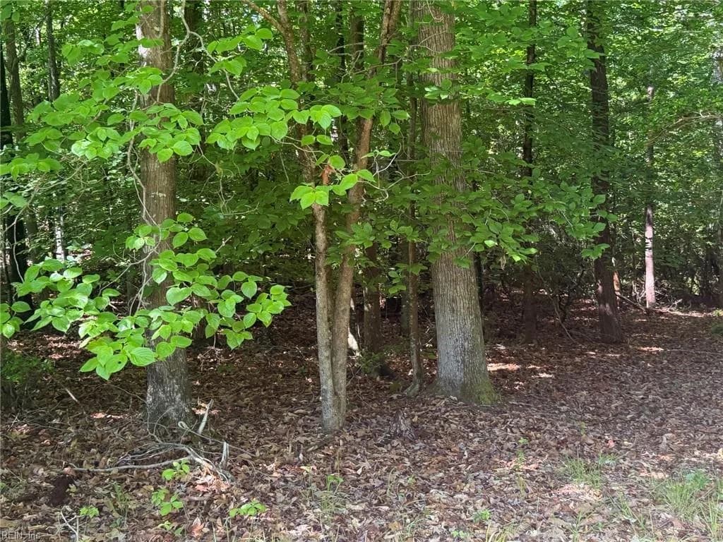 3.1+AC Near Cooks Mill RD, LANEXA VA 23089 thumb 7