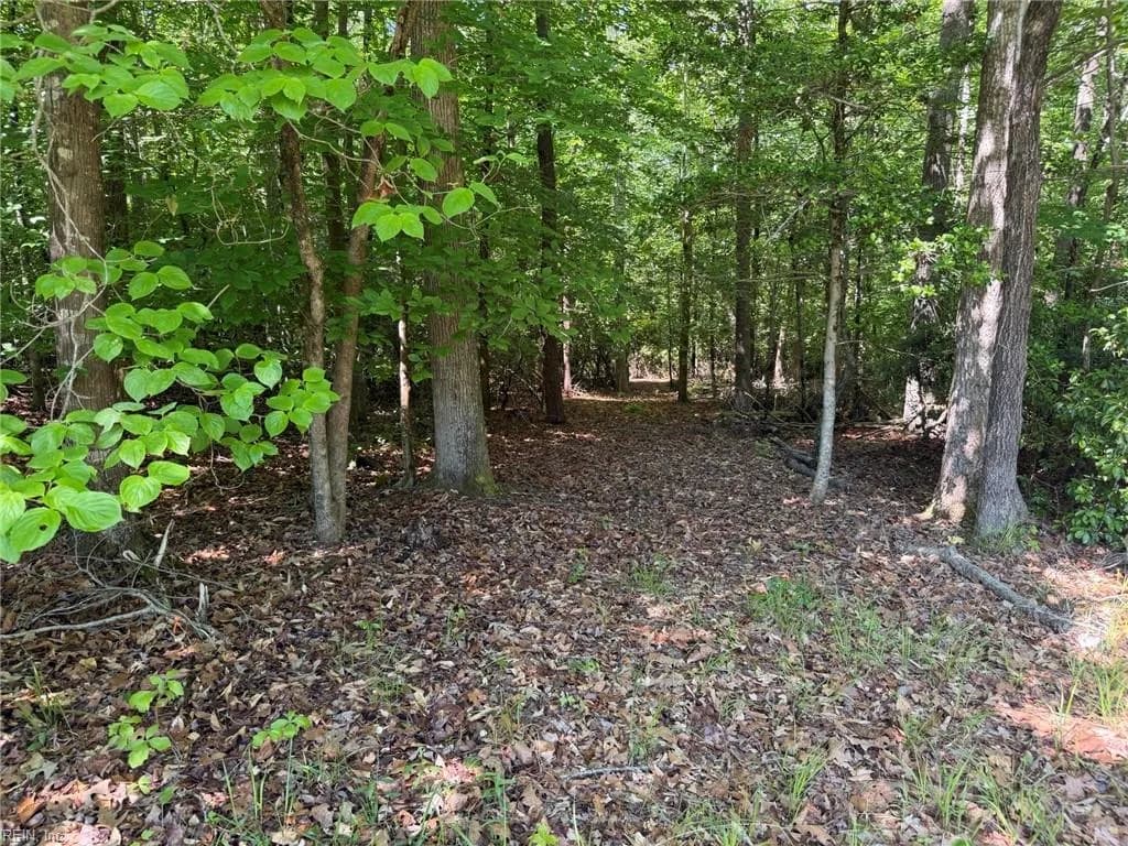 3.1+AC Near Cooks Mill RD, LANEXA VA 23089 thumb 8