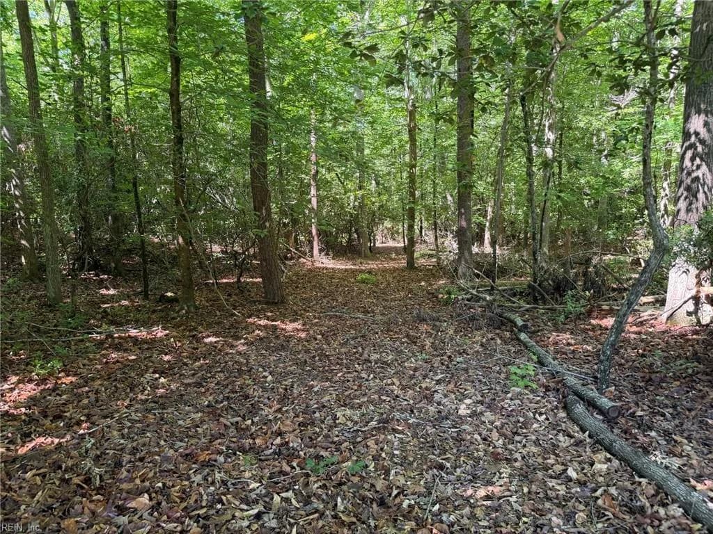 3.1+AC Near Cooks Mill RD, LANEXA VA 23089 thumb 9