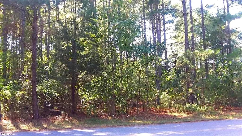 1.25AC Tylers Beach RD, SMITHFIELD VA 23430 - Main photo