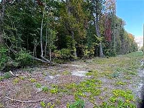 3AC Hog Island RD, SURRY VA 23883 - Photo 3