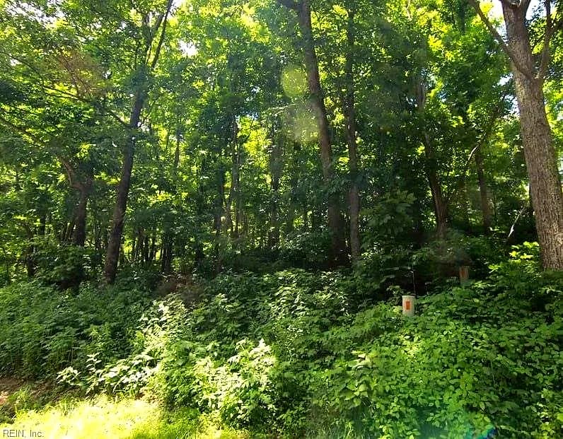 270 Timber Camp DR, ROSELAND VA 22967 - Photo 2