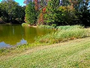 1445 Morgarts Beach RD, SMITHFIELD VA 23430 thumb 3