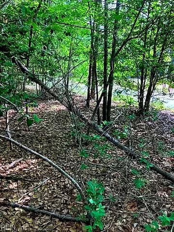 .55acs E Nottoway DR, COURTLAND VA 23837 - Photo 3