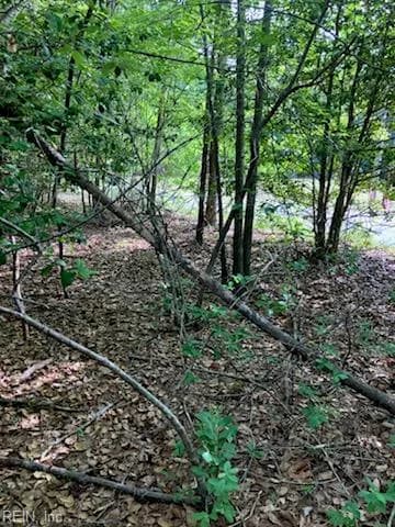 .55acs E Nottoway DR, COURTLAND VA 23837 - Photo 3