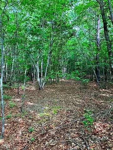 .55acs E Nottoway DR, COURTLAND VA 23837 - Photo 4