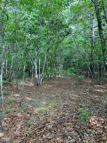 .55acs E Nottoway DR, COURTLAND VA 23837 - Photo 4