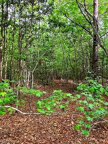 .55acs E Nottoway DR, COURTLAND VA 23837 - Photo 5