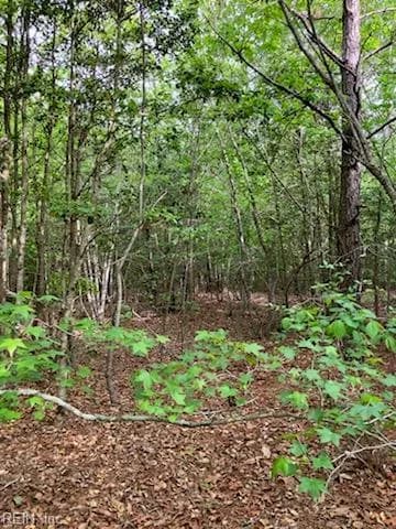 .55acs E Nottoway DR, COURTLAND VA 23837 - Photo 5
