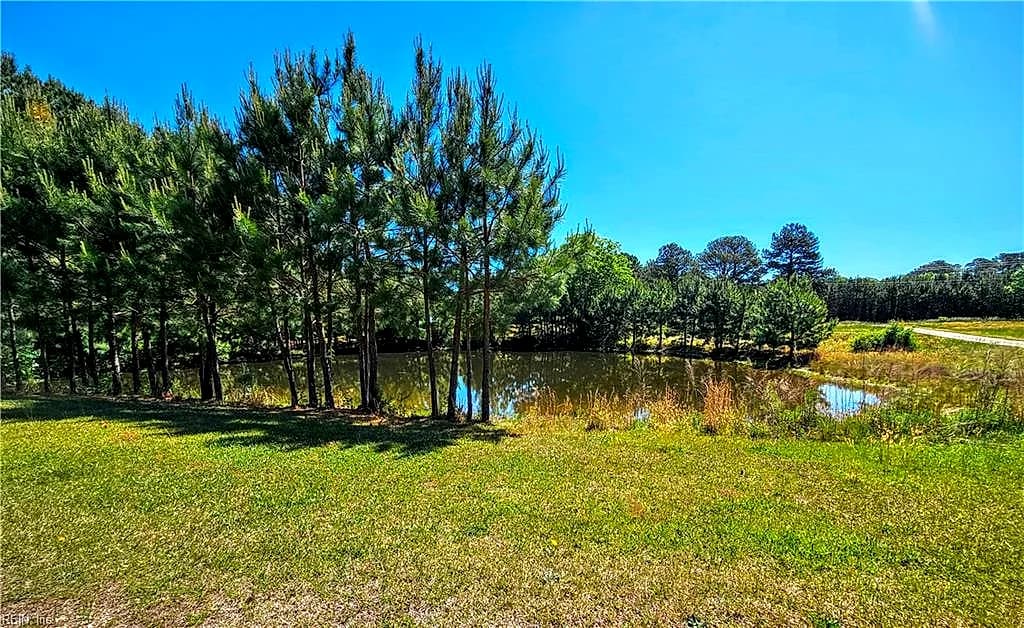 1981 Cobham Wharf RD, SURRY VA 23883 - Photo 4