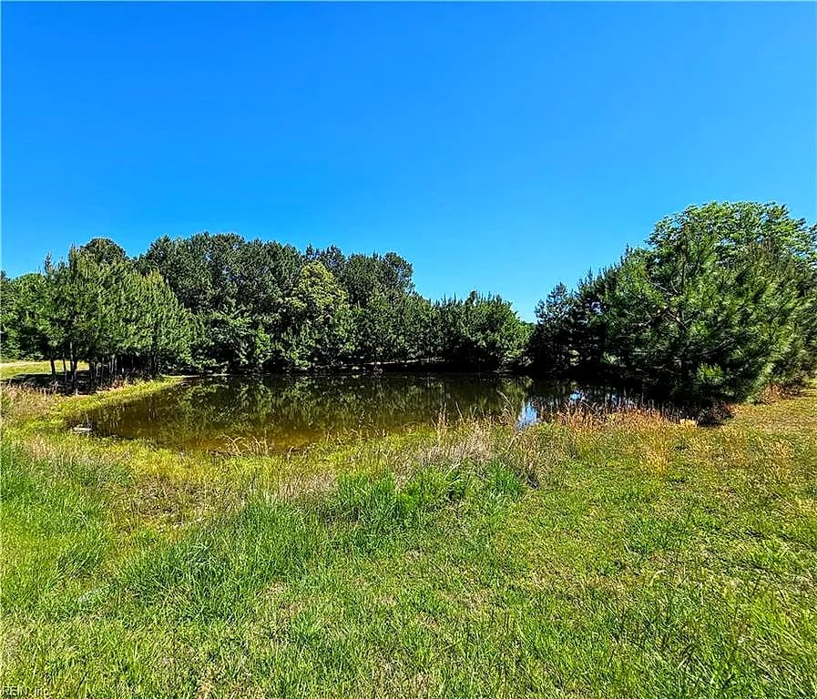 1981 Cobham Wharf RD, SURRY VA 23883 - Photo 5