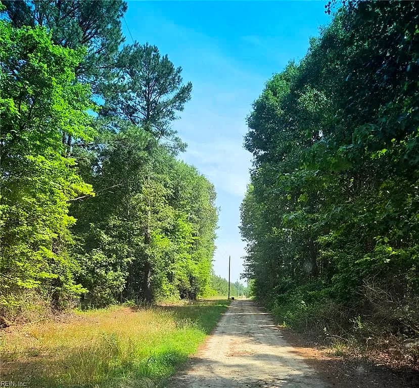 50+AC Guy Place RD, COURTLAND VA 23837 - Photo 3