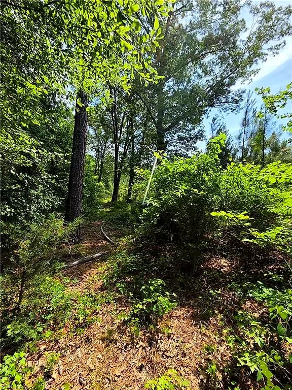 50+AC Guy Place RD, COURTLAND VA 23837 thumb 6