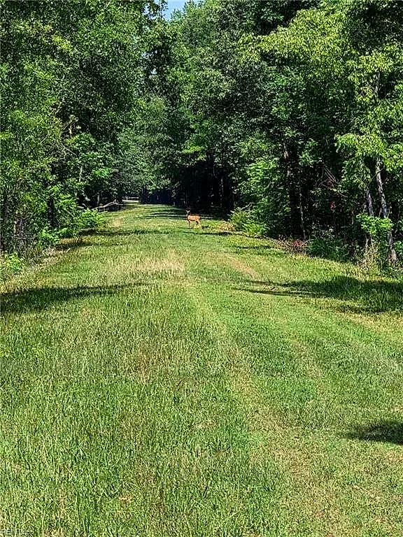 50+AC Guy Place RD, COURTLAND VA 23837 thumb 7