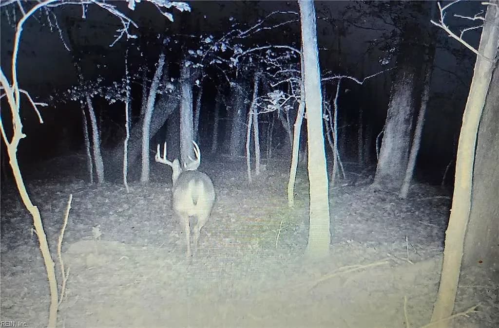 50+AC Guy Place RD, COURTLAND VA 23837 thumb 8