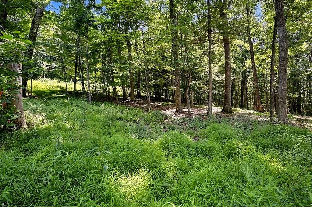 Lot 50 Donald Ross TRL, HOT SPRINGS VA 24445 - Photo 3