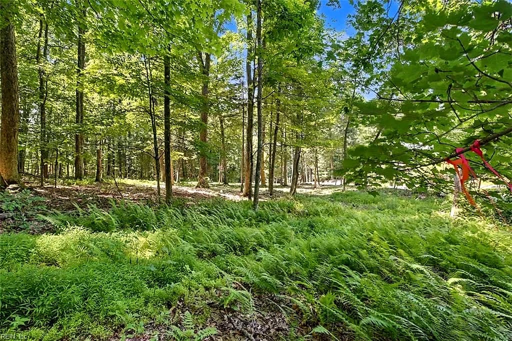 Lot 50 Donald Ross TRL, HOT SPRINGS VA 24445 - Photo 4