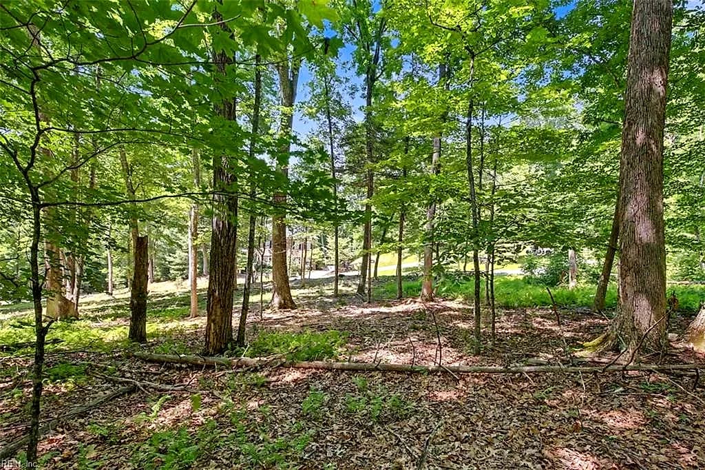 Lot 50 Donald Ross TRL, HOT SPRINGS VA 24445 - Photo 5